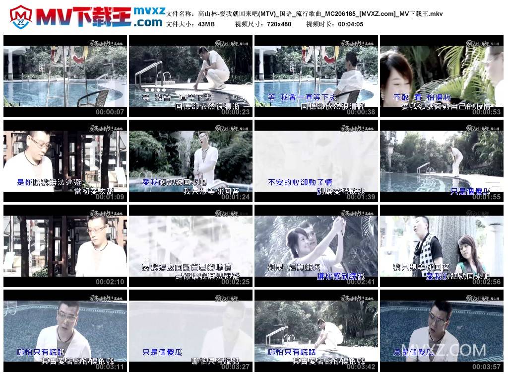 高山林-爱我就回来吧(MTV)_国语_流行歌曲_MC206185